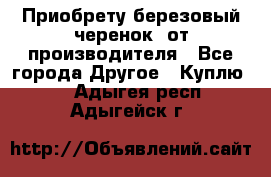 Приобрету березовый черенок  от производителя - Все города Другое » Куплю   . Адыгея респ.,Адыгейск г.